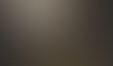 Deuren – insectenwering op maat (auf Maß)