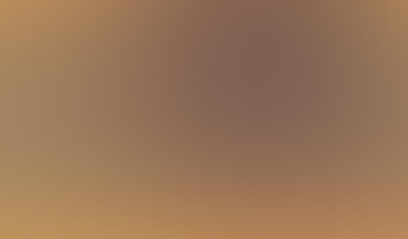 Schuifdeuren – insectenwering op maat (auf Maß)